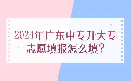 2024年廣東中專升大專志愿填報(bào)怎么填?