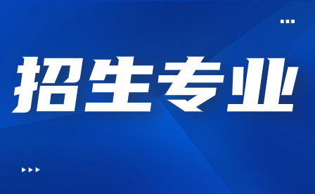 2024年廣東松田職業(yè)學(xué)院3+證書招生專業(yè)